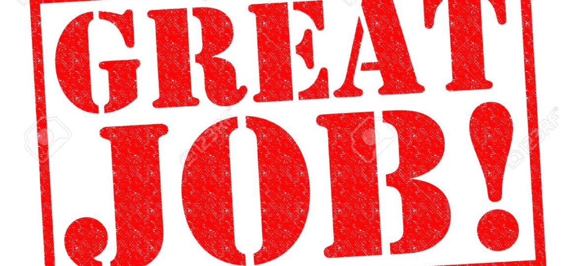 Red, bold, capitalised text that says GREAT JOB! inside a red rectangular border on a white background.