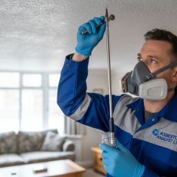 Asbestos in Artex: A Professional Guide on What to Do and How to Stay Compliant